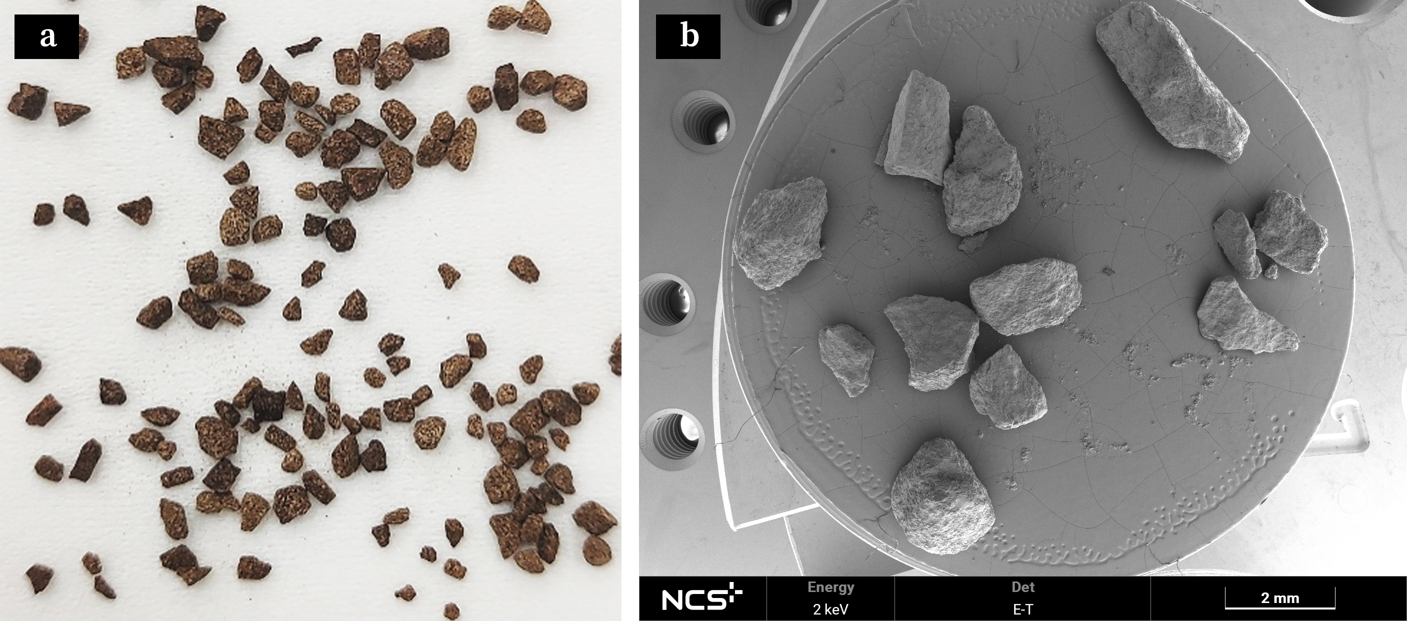 应用案例|揭秘:小小药剂的微观世界 应用案例|揭秘:小小药剂的微观世界