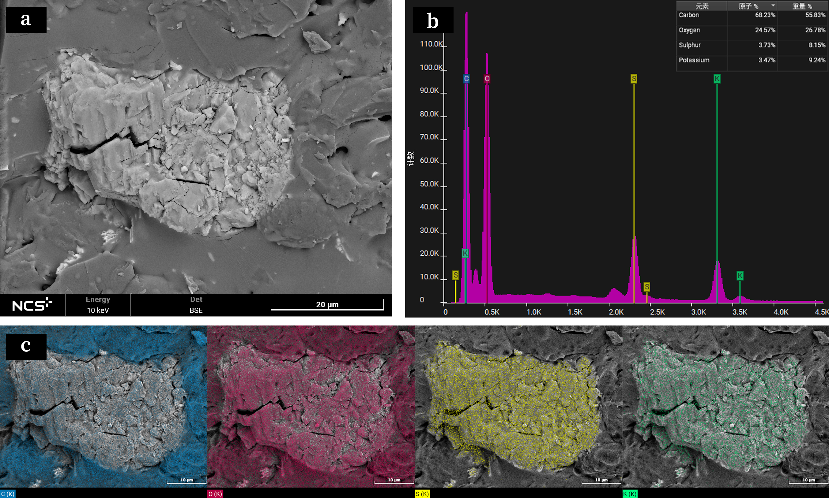 应用案例|揭秘:小小药剂的微观世界 应用案例|揭秘:小小药剂的微观世界