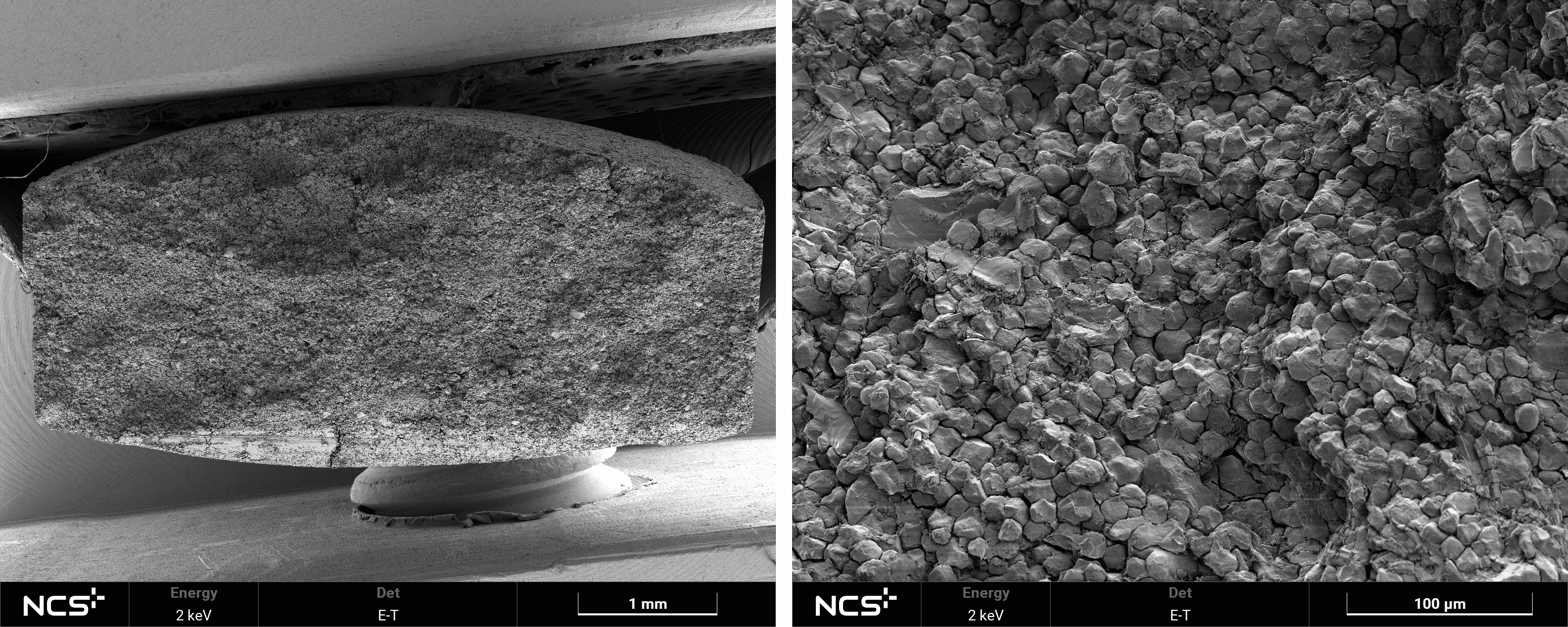 揭秘：小小药剂的微观世界Ⅱ