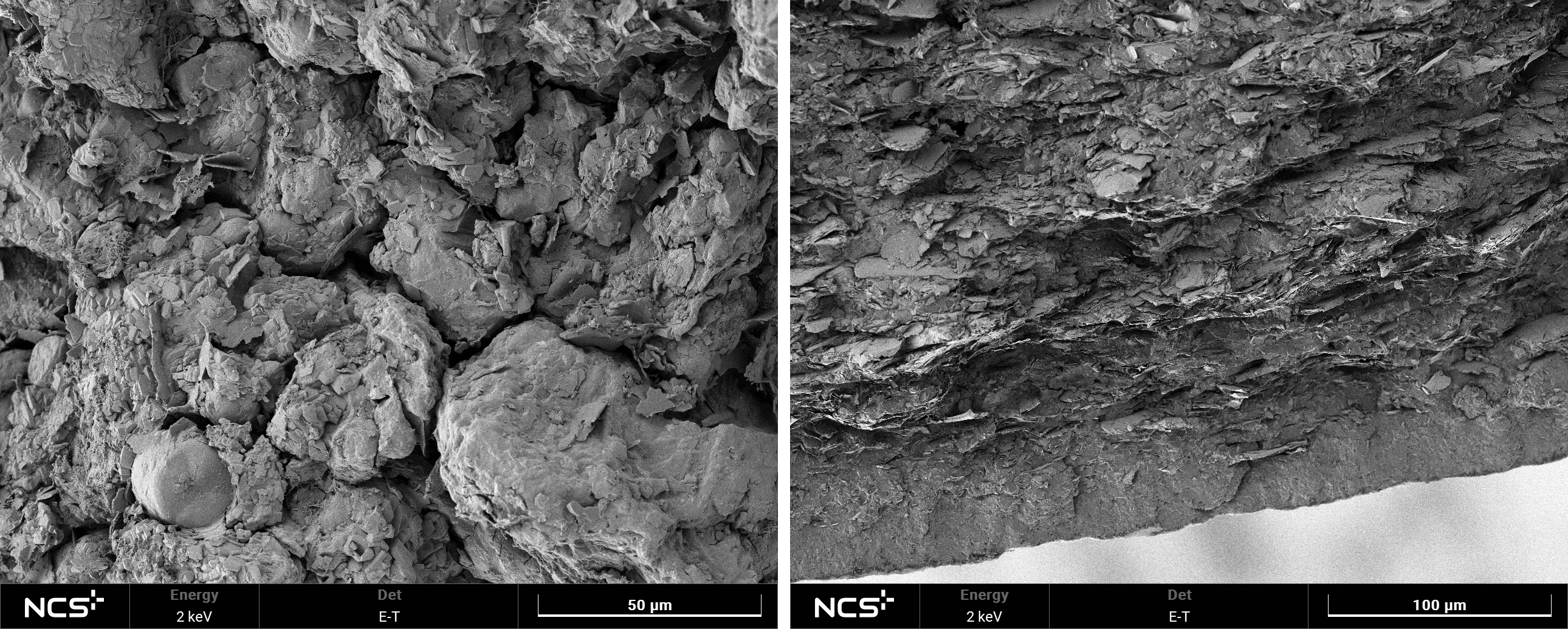 揭秘：小小药剂的微观世界Ⅱ