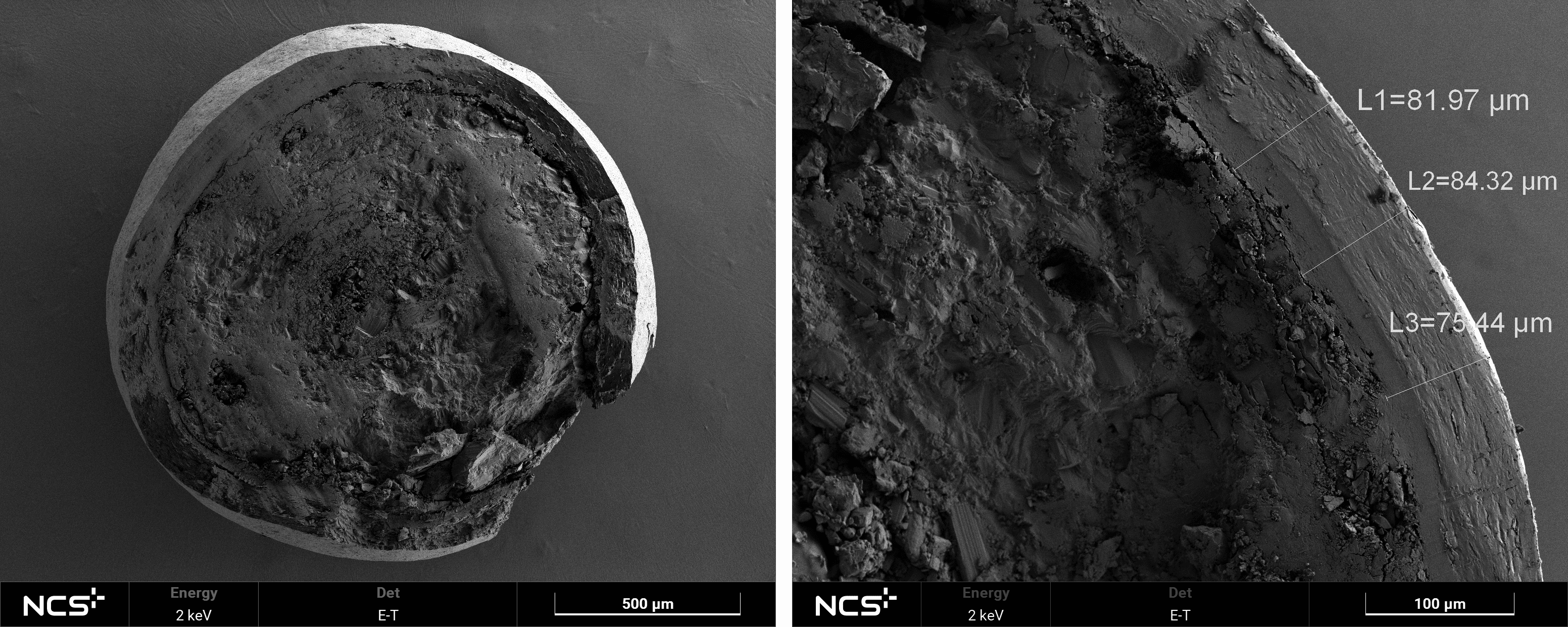 揭秘：小小药剂的微观世界Ⅱ