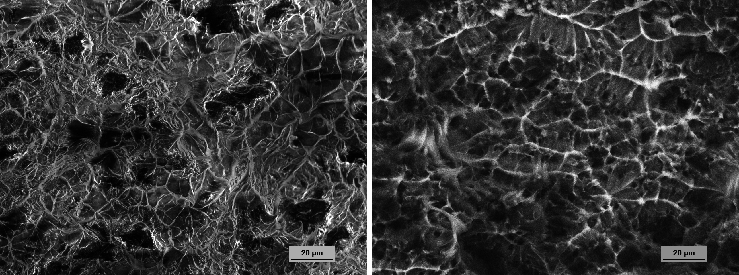 应用案例|高真空vs低真空扫描电镜微观形貌表征差异对比 应用案例|高真空vs低真空扫描电镜微观形貌表征差异对比