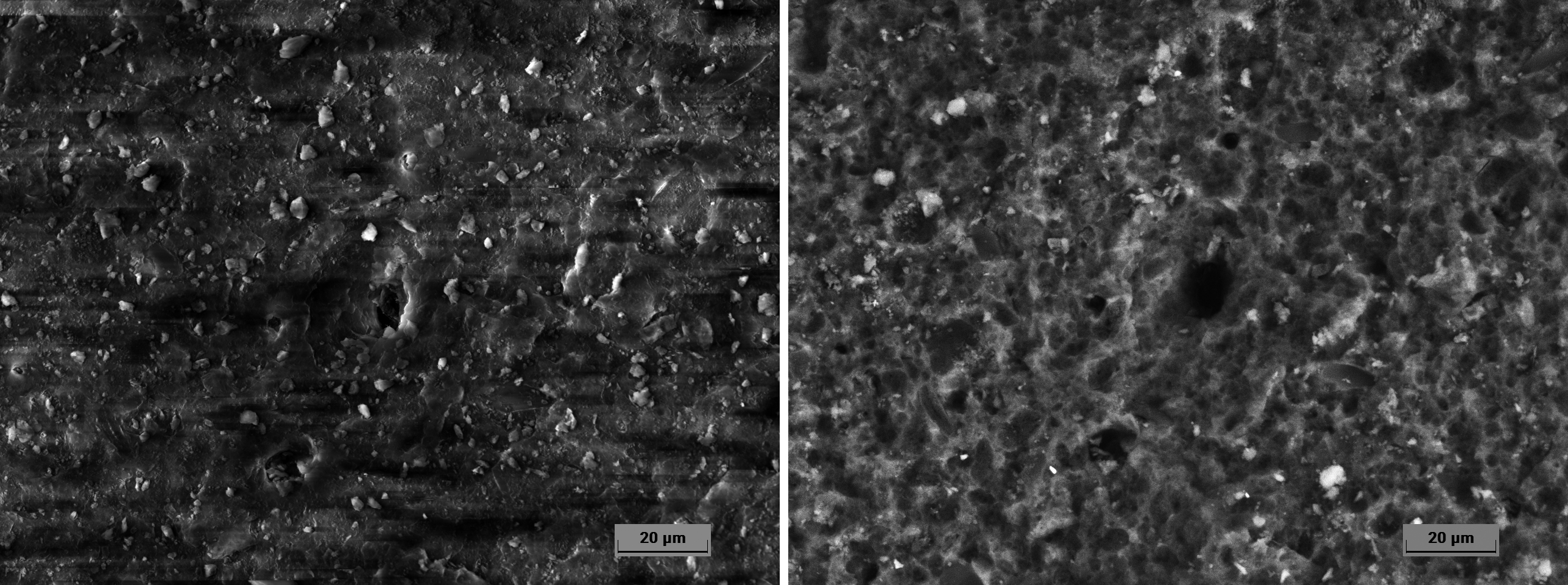 应用案例|高真空vs低真空扫描电镜微观形貌表征差异对比 应用案例|高真空vs低真空扫描电镜微观形貌表征差异对比