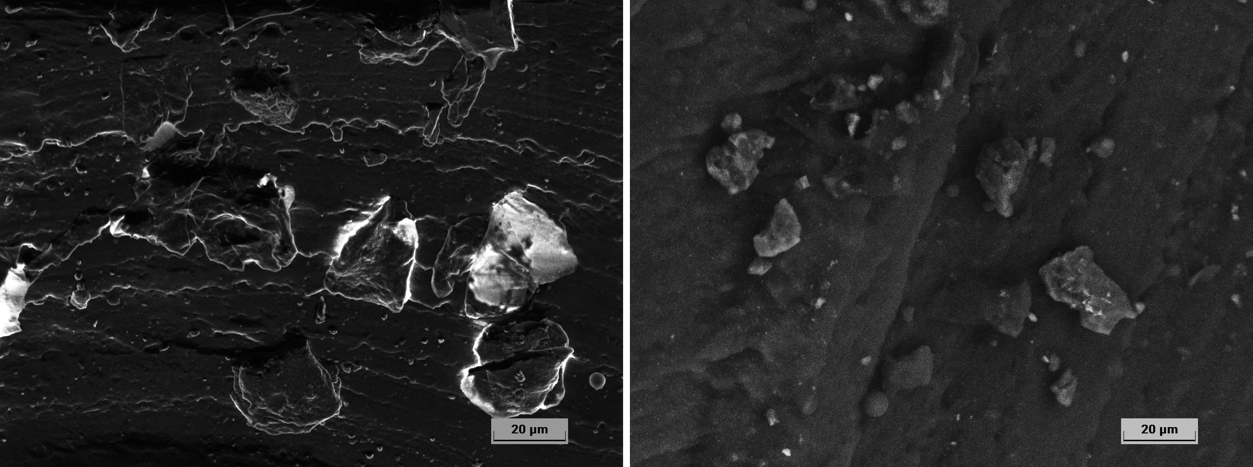 应用案例｜高真空vs低真空扫描电镜微观形貌表征差异对比