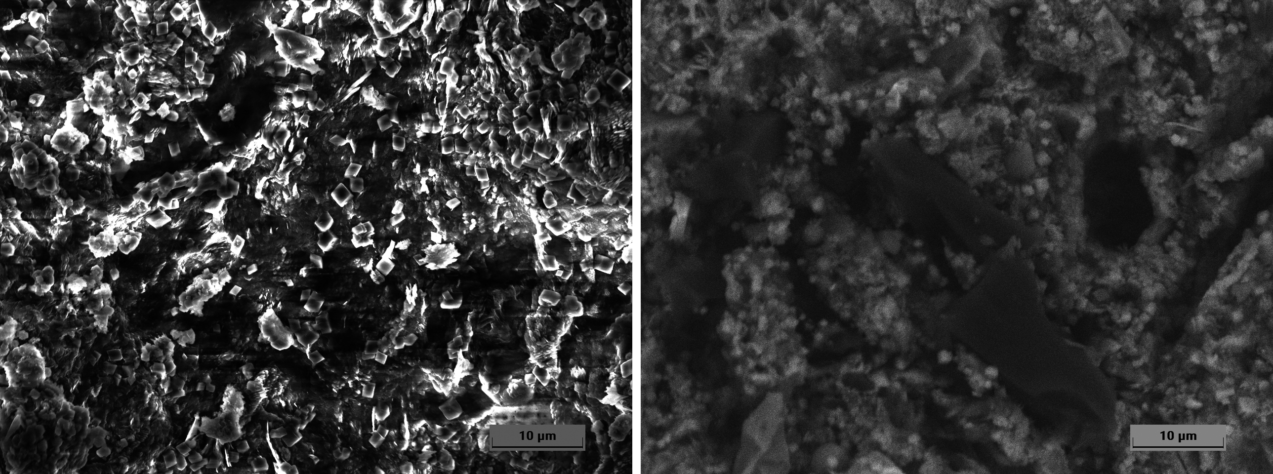 应用案例｜高真空vs低真空扫描电镜微观形貌表征差异对比