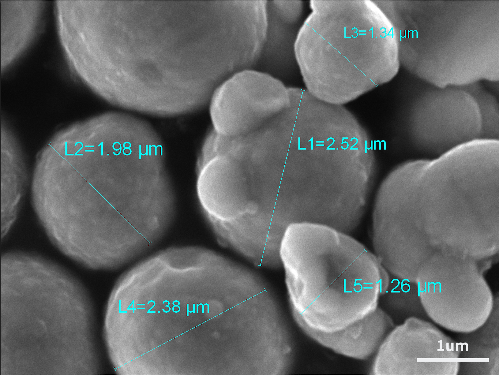 应用案例｜扫描电镜在粉末冶金原料检测中的关键应用